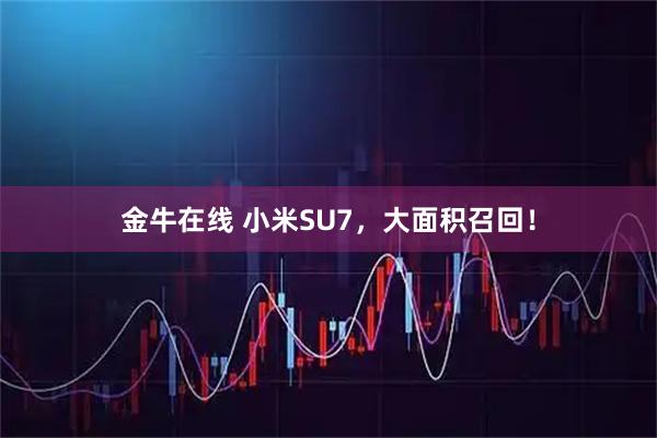 金牛在线 小米SU7，大面积召回！