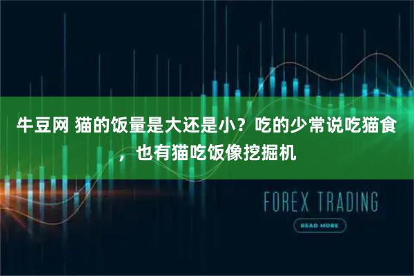 牛豆网 猫的饭量是大还是小？吃的少常说吃猫食，也有猫吃饭像挖掘机